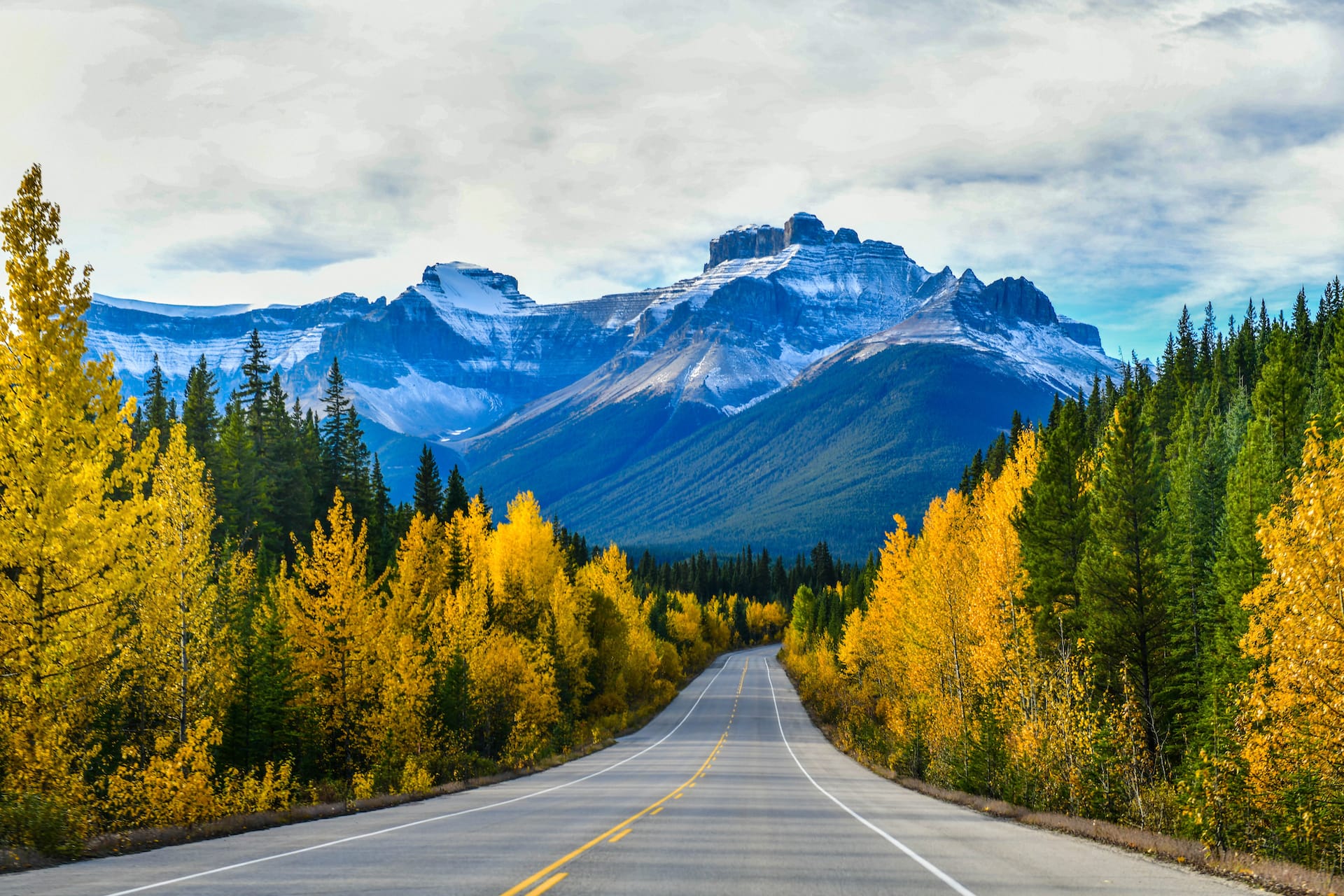 Asphalt road leading toward snow-capped blue mountains through autumn forest foliage.