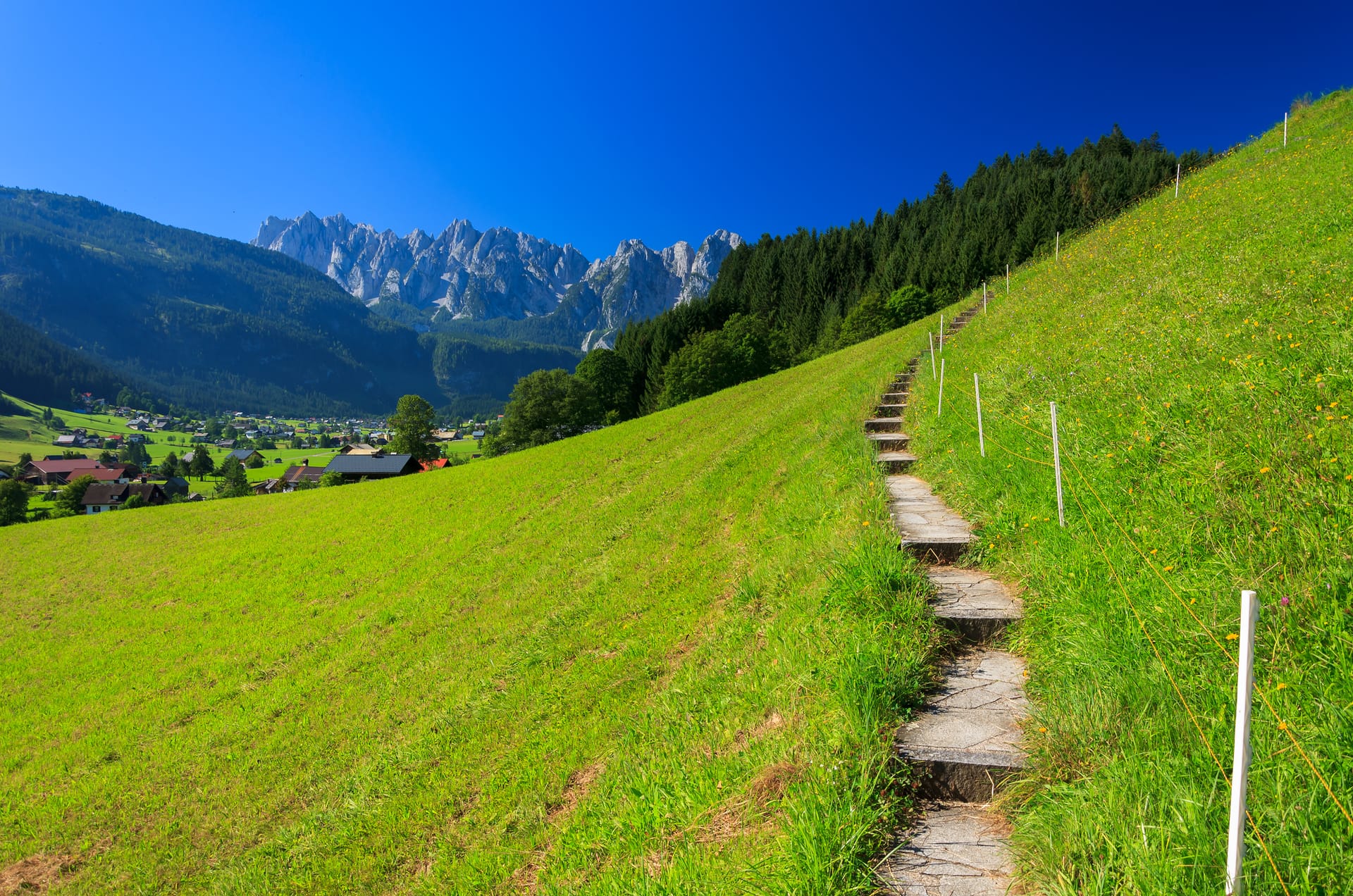 Stone steps ascend a steep green meadow toward jagged mountain peaks under a clear blue sky.