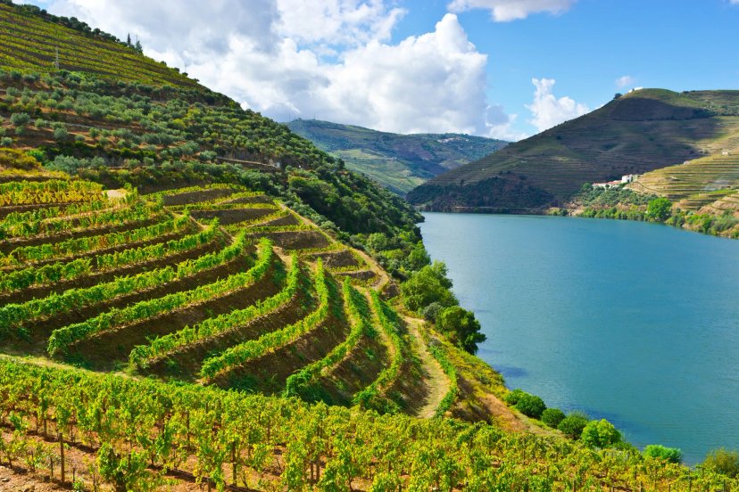 Douro Valley Sykkeltur