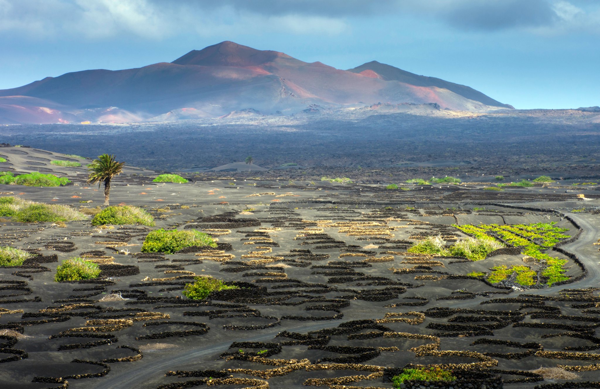 Vin-dalen av La Geria / Lanzarote / Kanariøyene