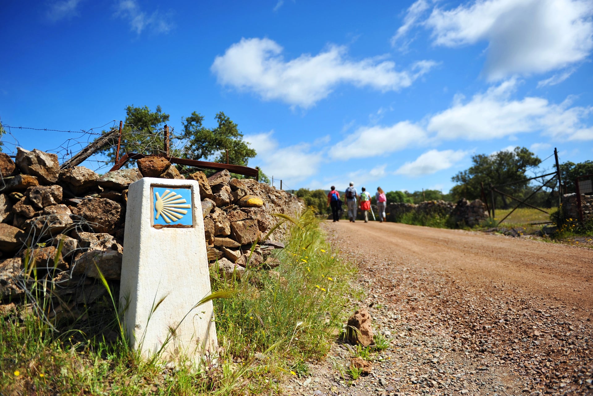 Peregrinos, Camino de Santiago, Vía de la Plata, España