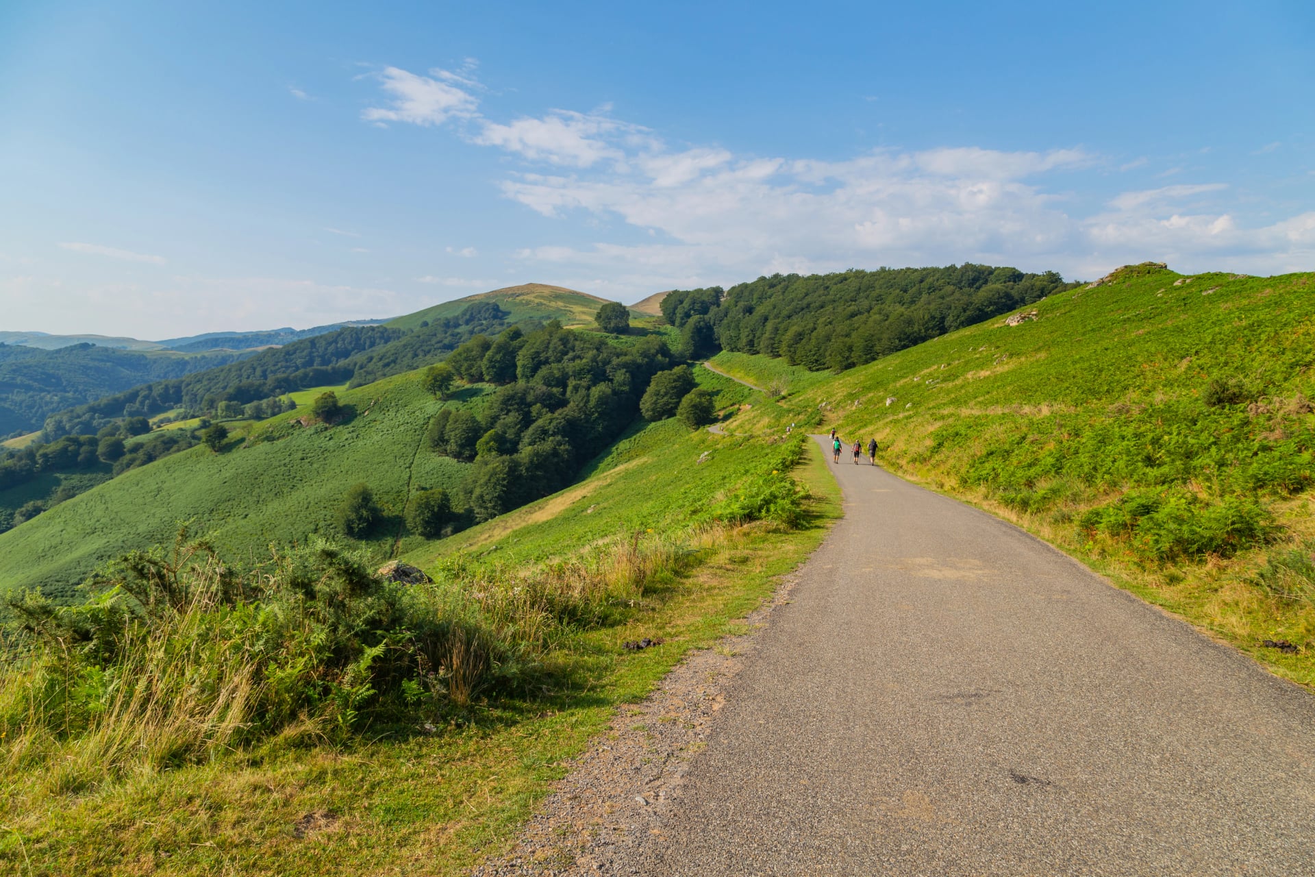 Pilgrims walk along the Camino De Santiago