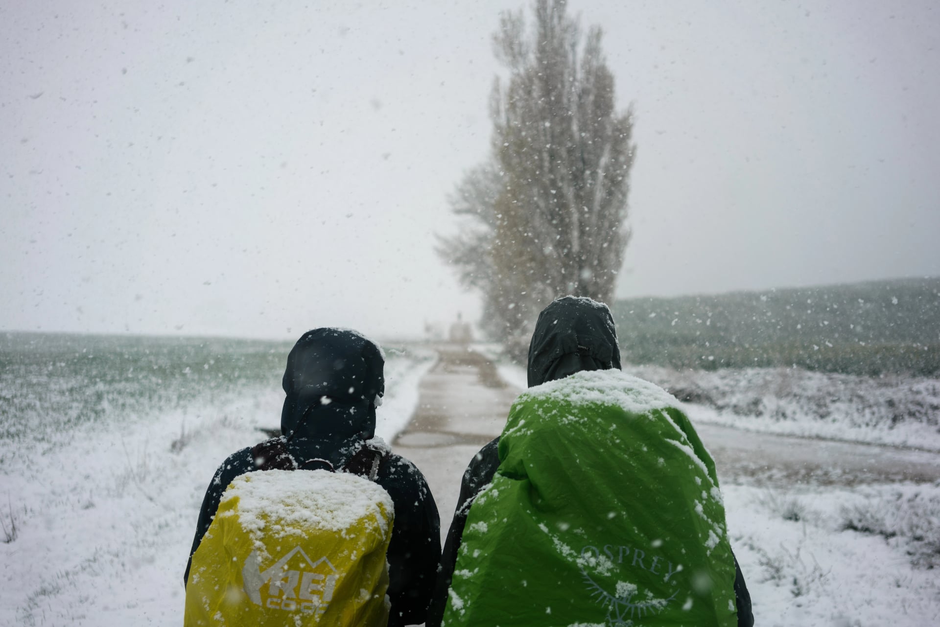 Two Hikers in the Snow
