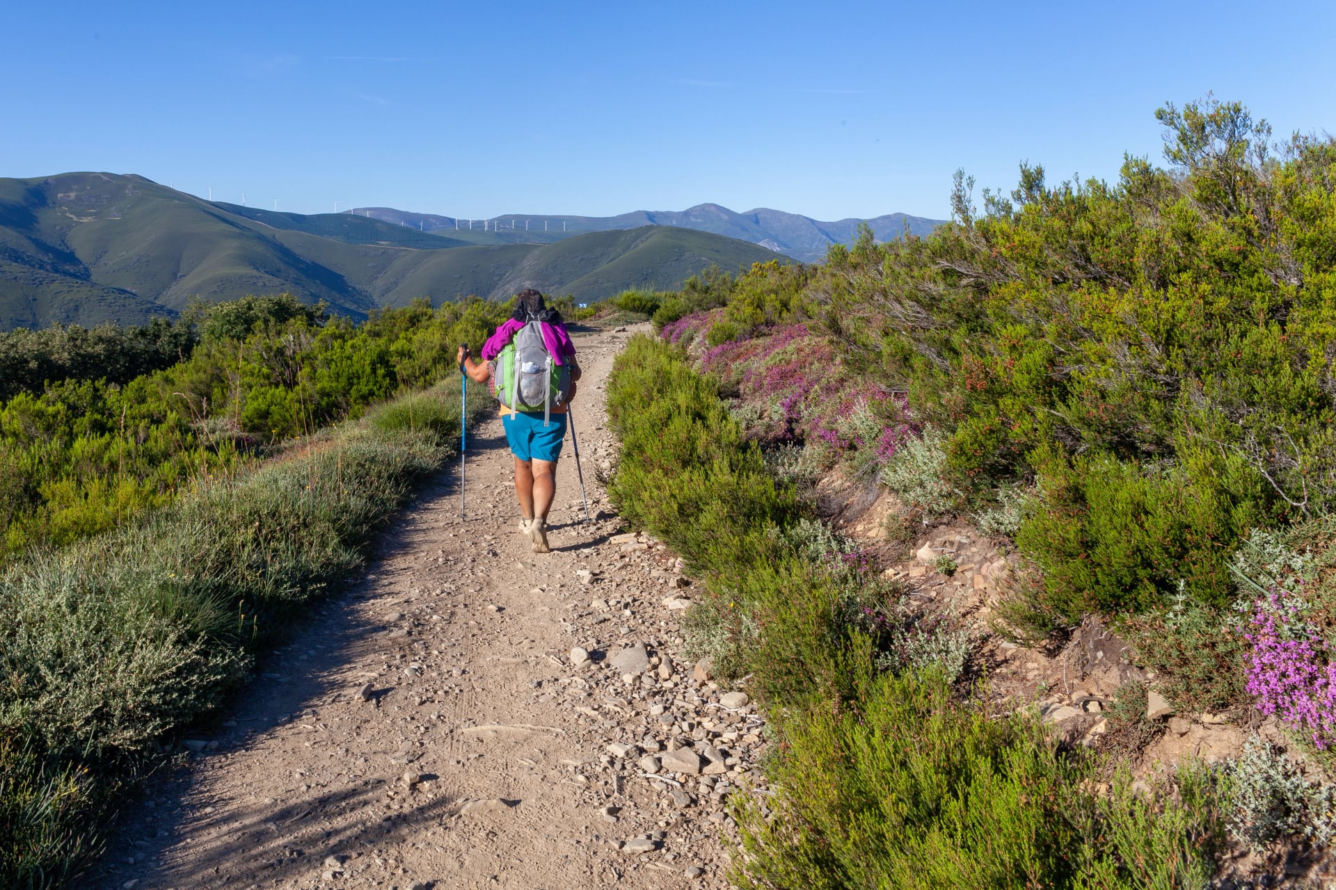 Camino de Santiago Spain