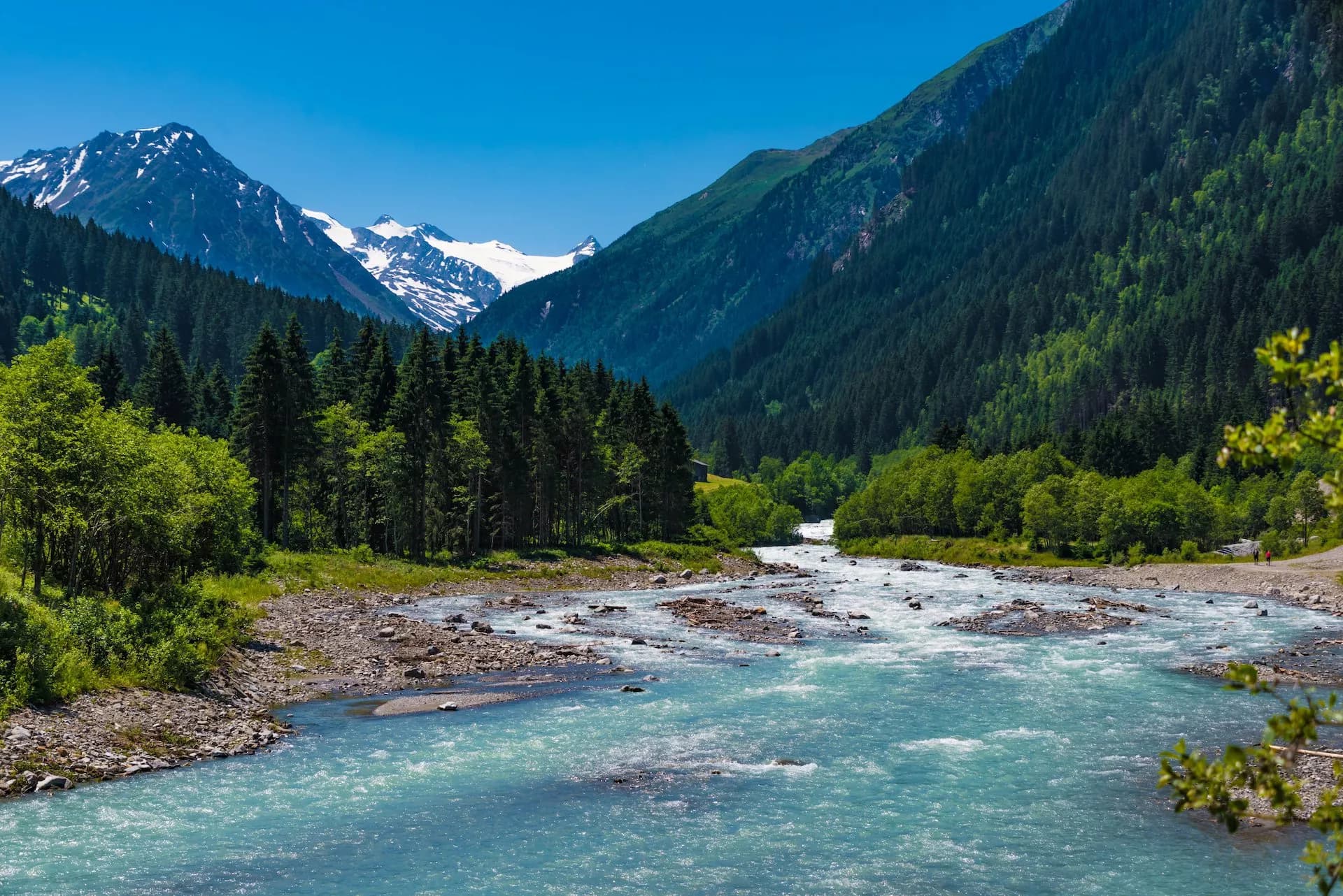 Turquoise river flowing through a valley with pine forests and snow-capped mountains in Stubai.