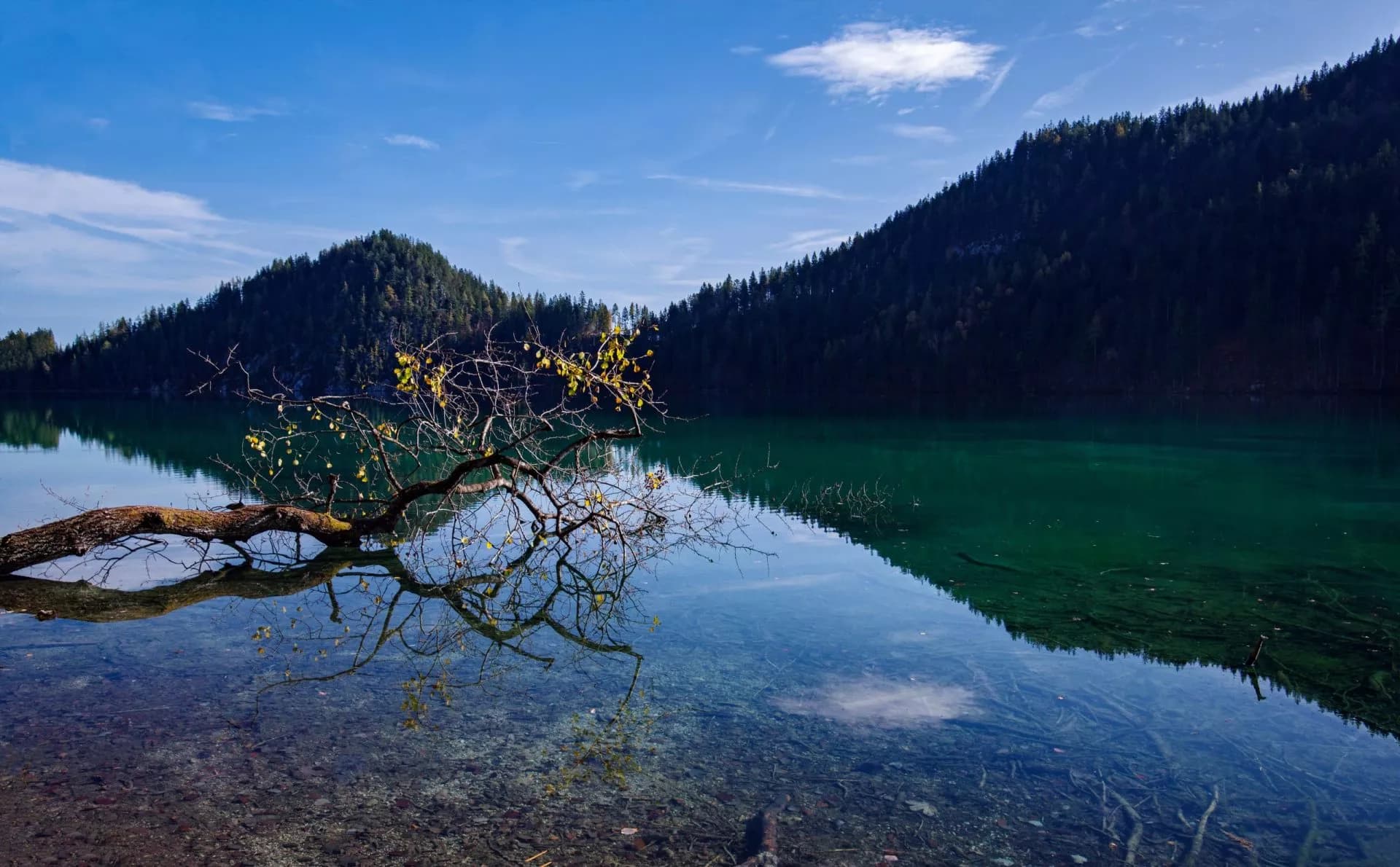 Herbststimmung in der Nachmittagssonne im Kaisergebirge in den österreichischen Alpen mit Blick auf den Hintersteiner See und Wälder im Hintergrund