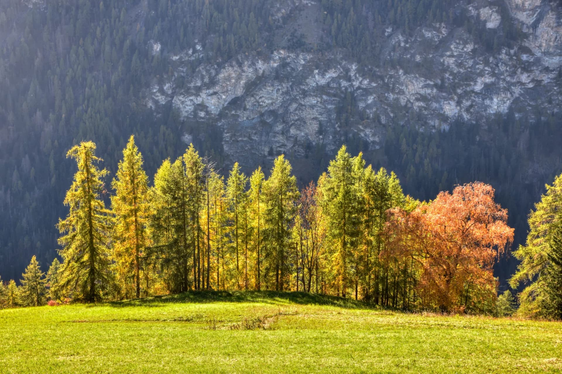 Mölltal, Kärnten, Oberkärnten, Jahreszeit, Herbst, Lärchen, braun, Tal, Berg, Sagritz, Apriach, Scheune, Heustadel, Schupfe, Mitteldorf, Bergbauernhof, Tradition, Weide, Wiese, Brauchtum, Baustil, Hol