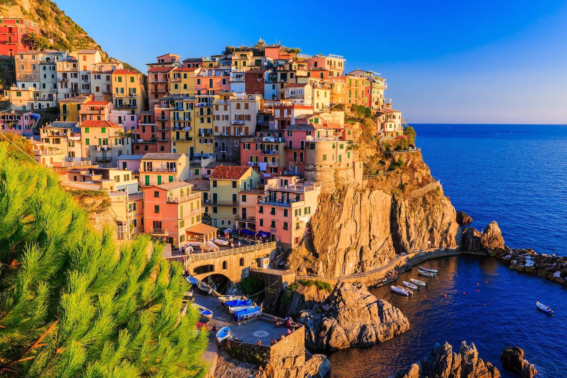 Colorful houses stacked on a cliff overlooking the sea at Manarola during sunset.