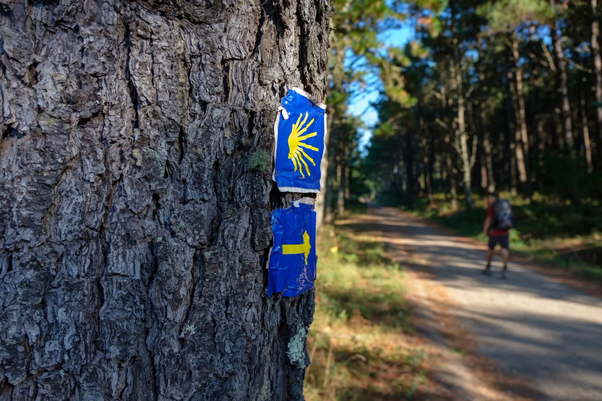 Gelber Pfeil und Pilger auf dem Jakobsweg (von Porto nach Santiago de Compostela)