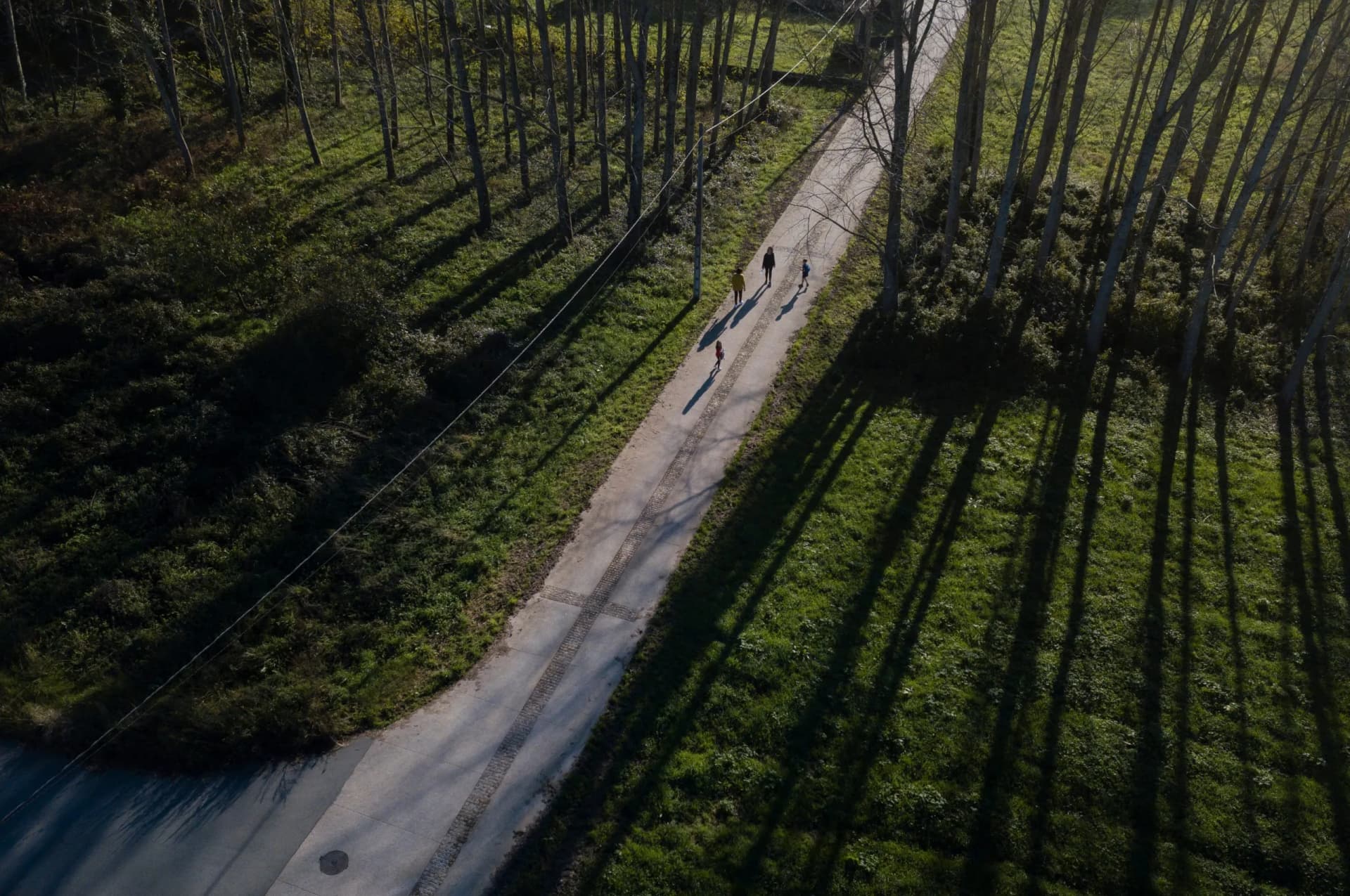 Hikers walking on a path through a forest with long tree shadows on green grass.