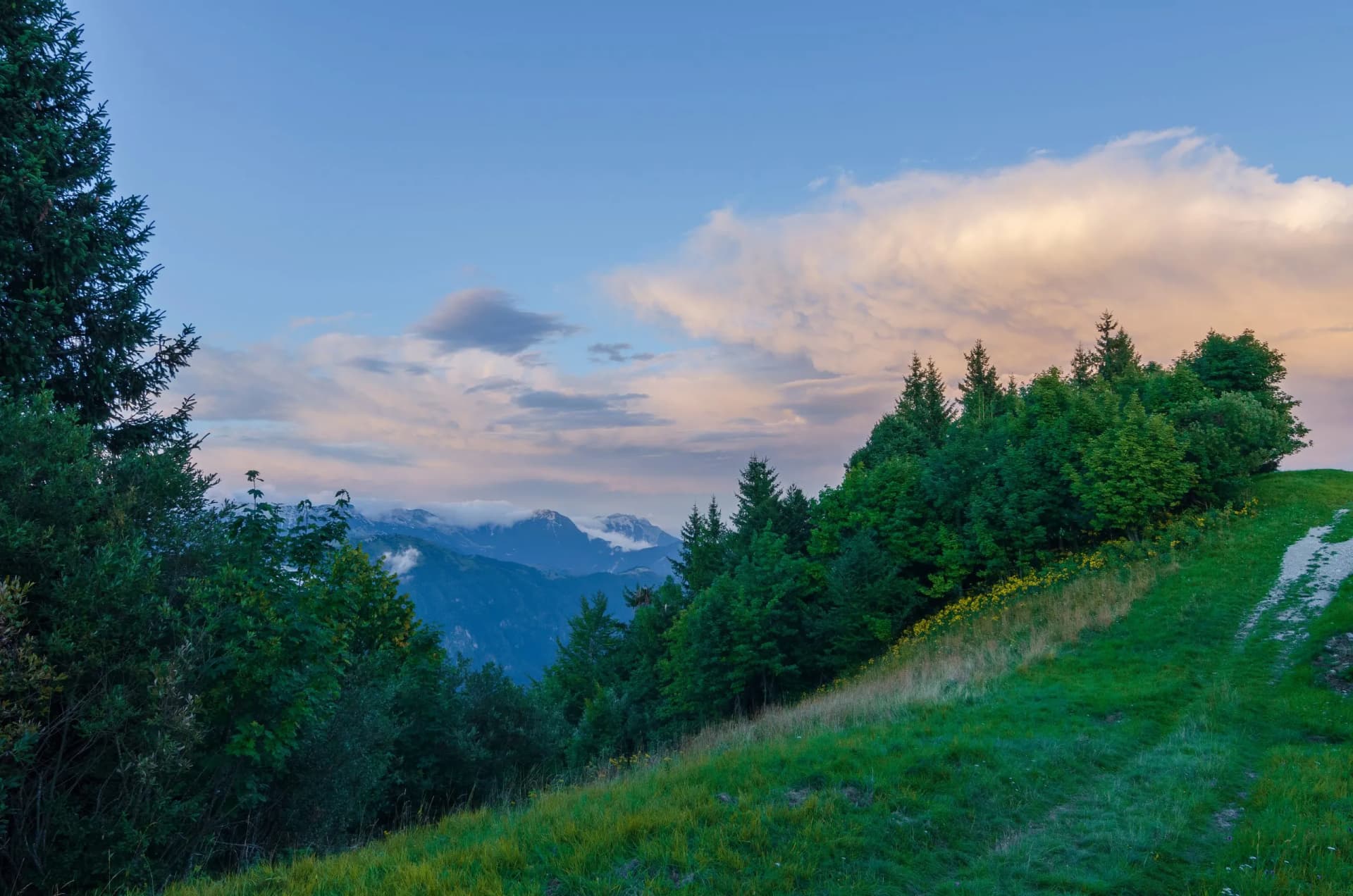 Hiking trail on grassy slope with pine trees overlooking Julian Alps mountains at sunset
