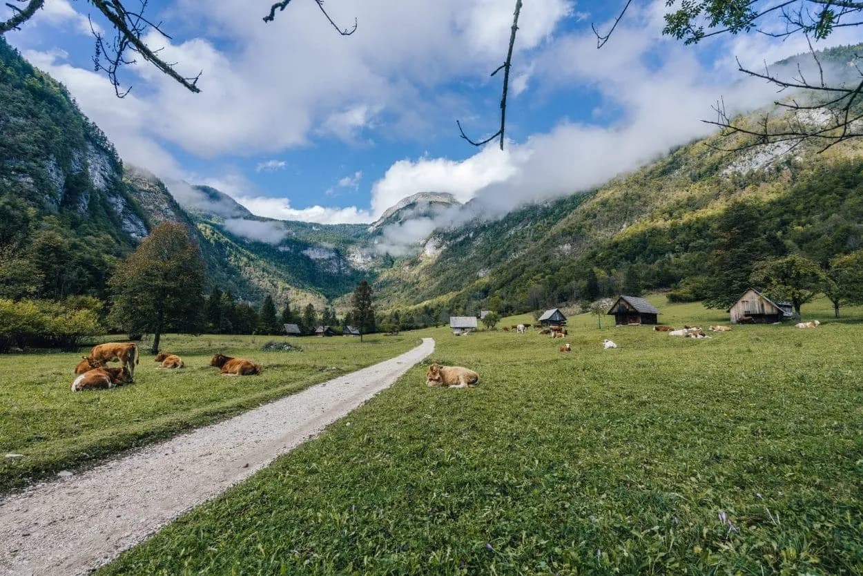 voje valley in bohinj