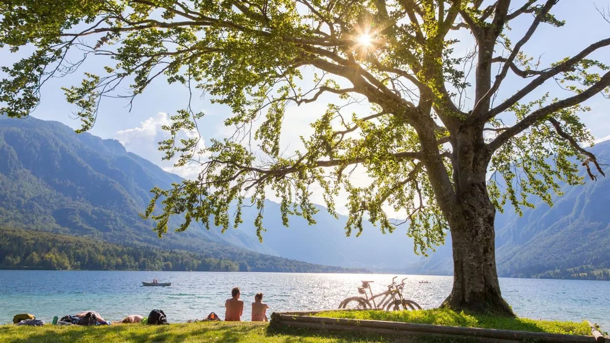 Enjoying the day on Bohinj lake beach under a large tree with mountains in the background.