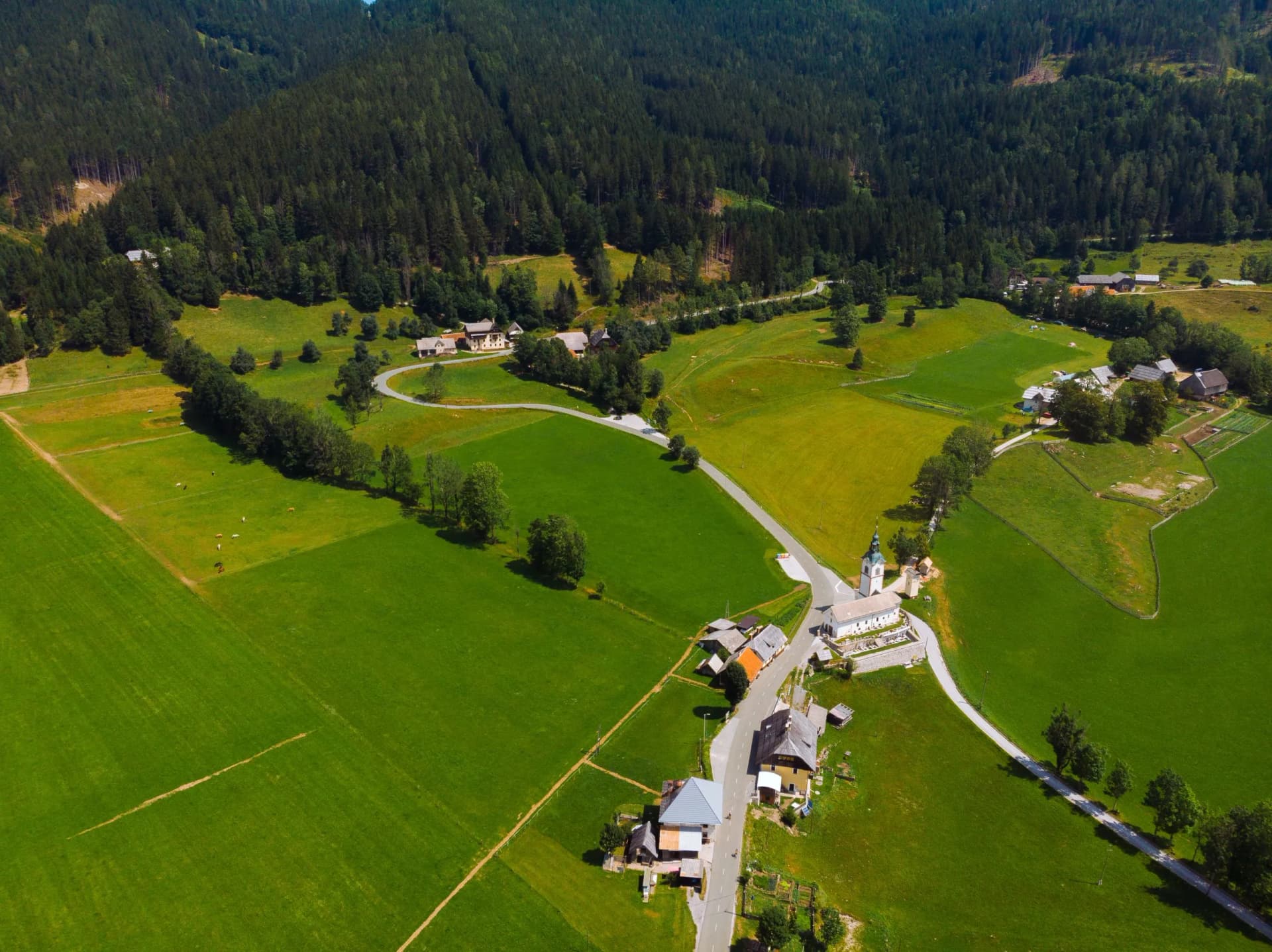 Aerial view over green meadow, village, and dense forest in Zgornje Jezersko.