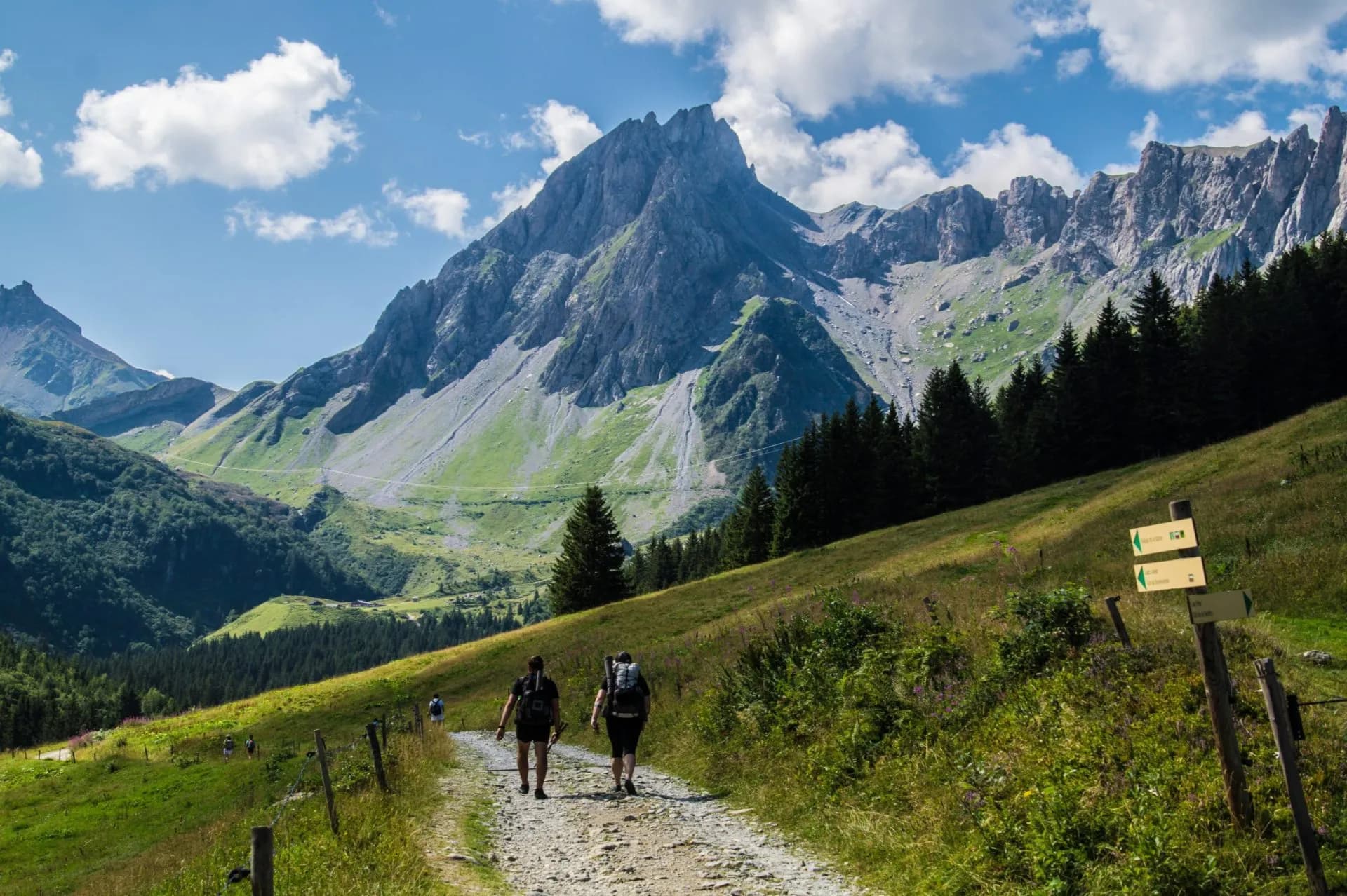 Hikers on dirt path ascending grassy slope toward jagged mountains under blue sky.