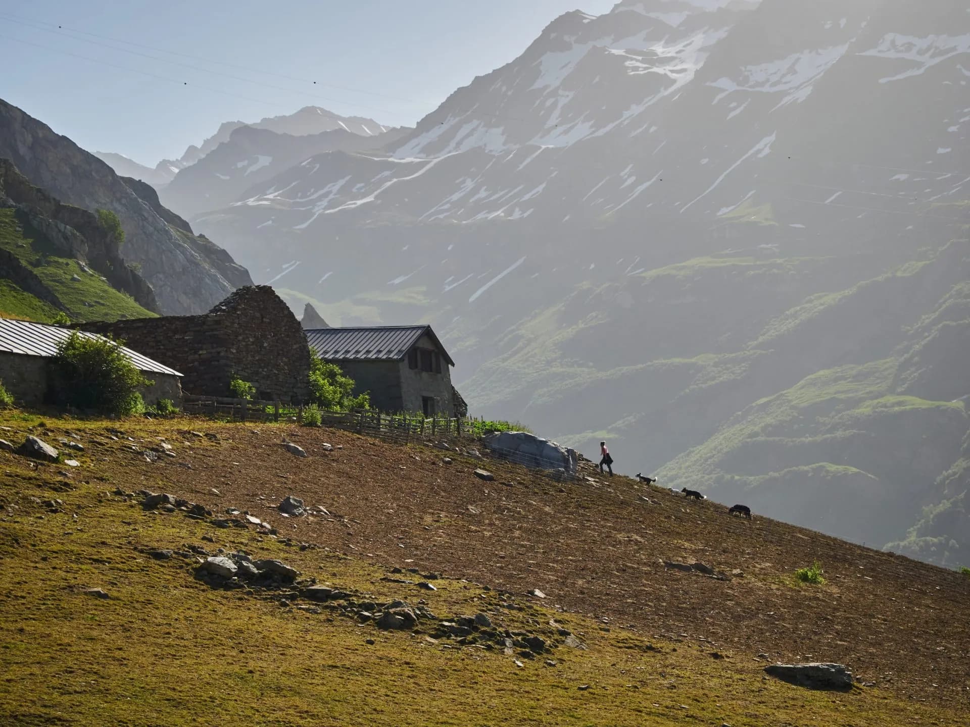 Hiker with dogs ascending steep slope near stone huts, with snowy mountains in background.