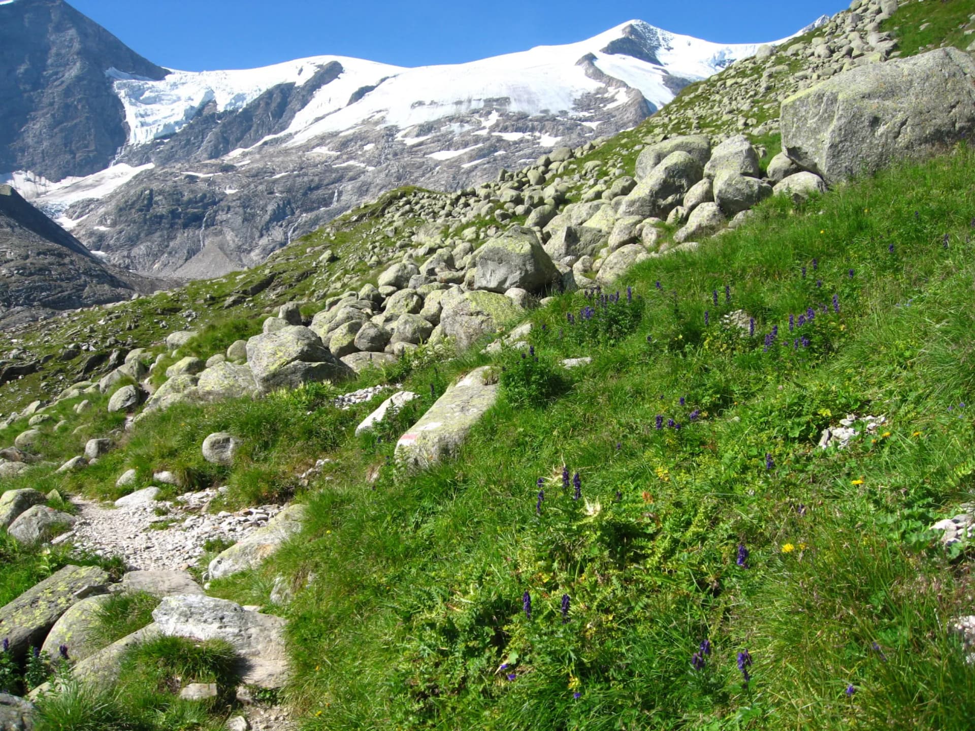 Hiking trail through rocky alpine meadow toward snow-capped Grossvenediger mountain.