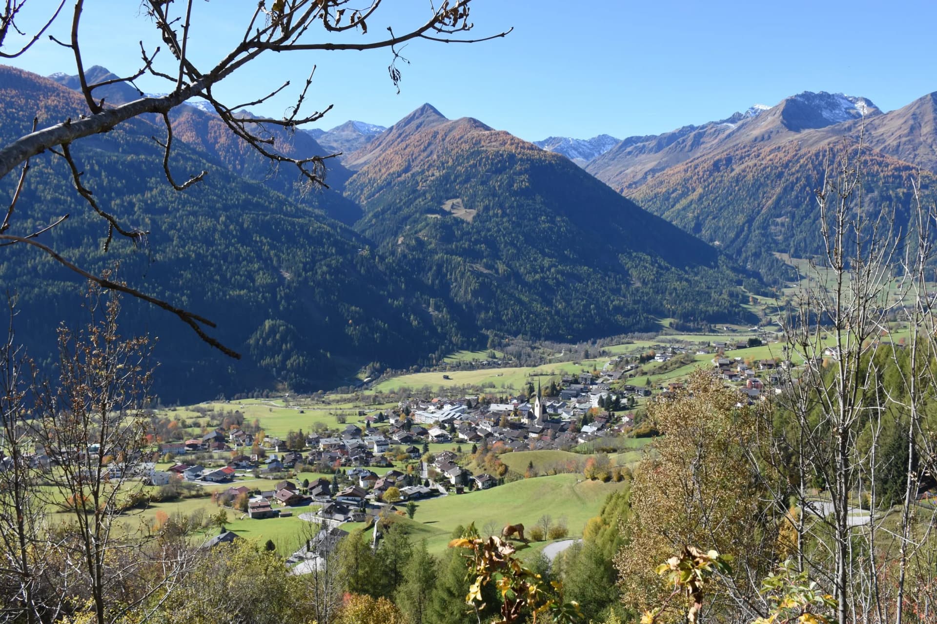 Osttirol, Virgen, Virgental, Tal, Dorf, Siedlung, Bauernhof, Bergbauernhof, Weide, Alm, Landwirtschaft, Herbst, verfärbt, Venedigergruppe