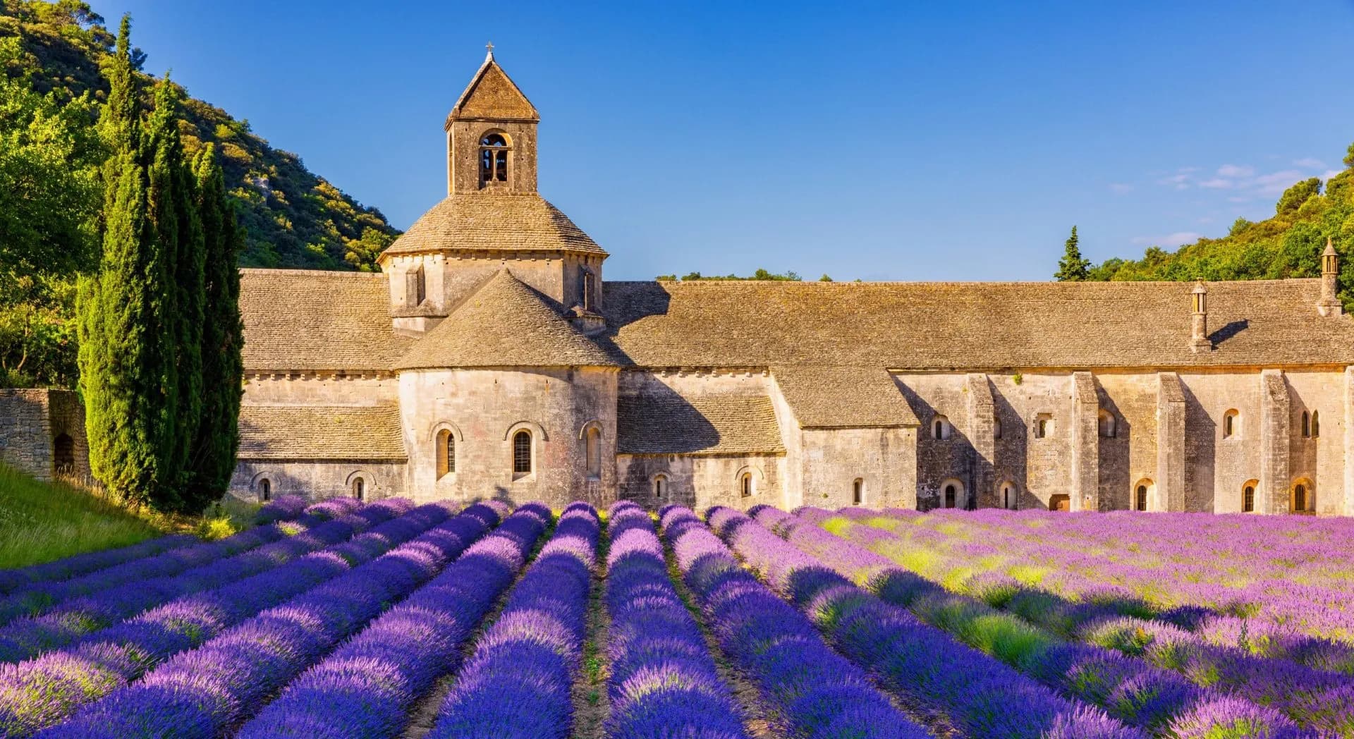 Romanesque Cistercian Abbey of Notre Dame of Senanque with rows of purple lavender in bloom.