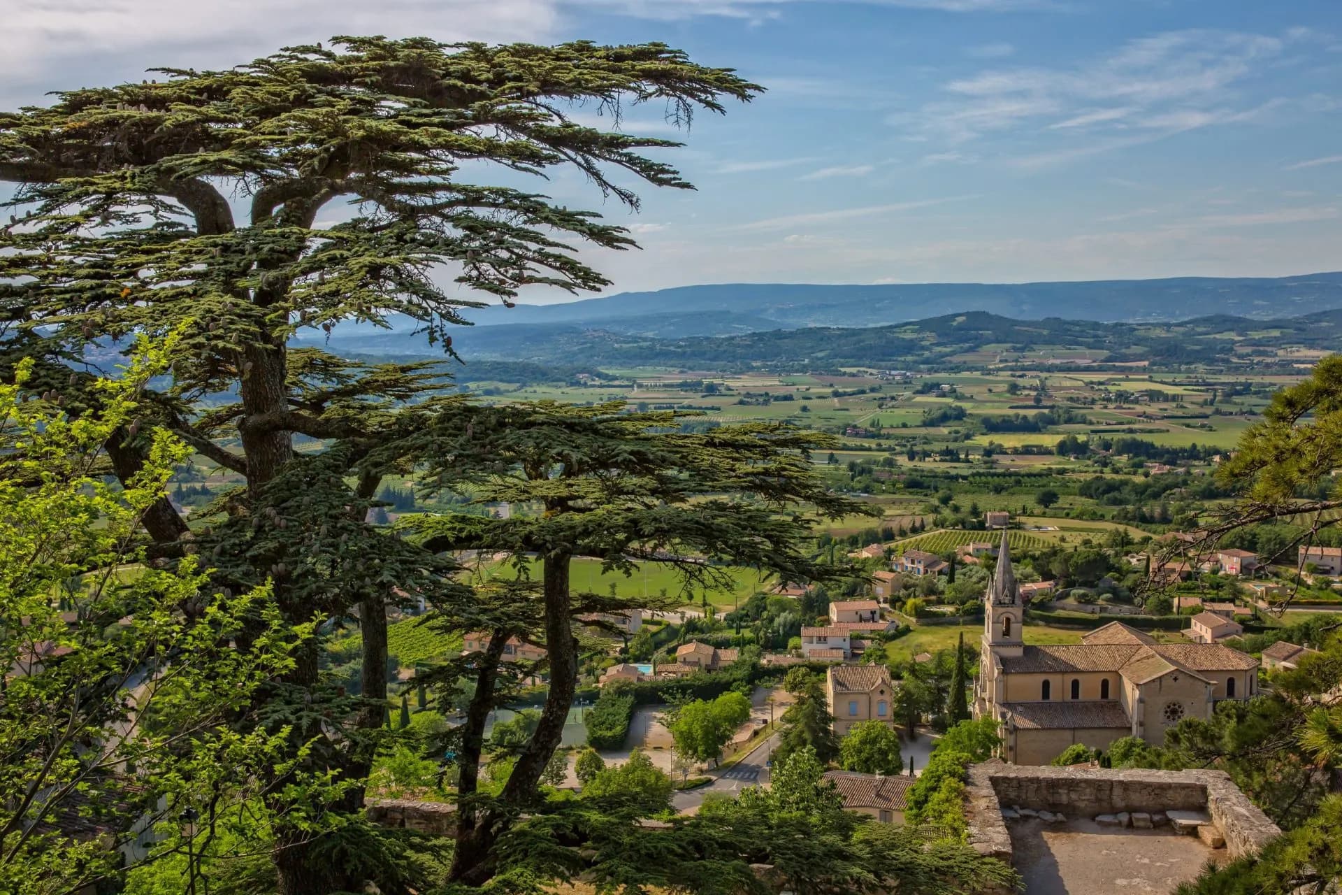Panorama from Bonnieux showing a large cedar tree overlooking a village and rolling green valley.