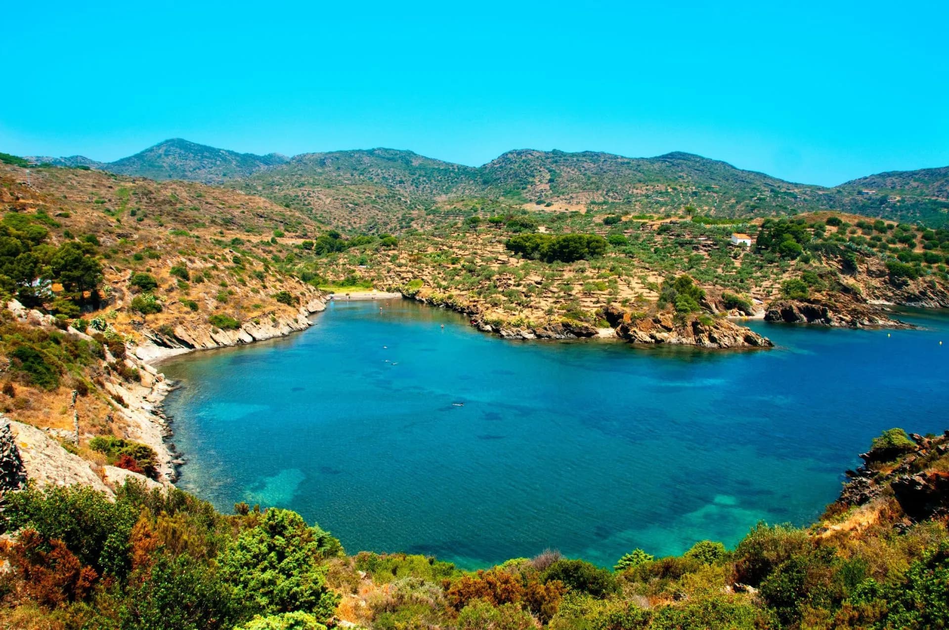 Cala Cap de Creus cove with turquoise water, arid hillsides, and Mediterranean vegetation.