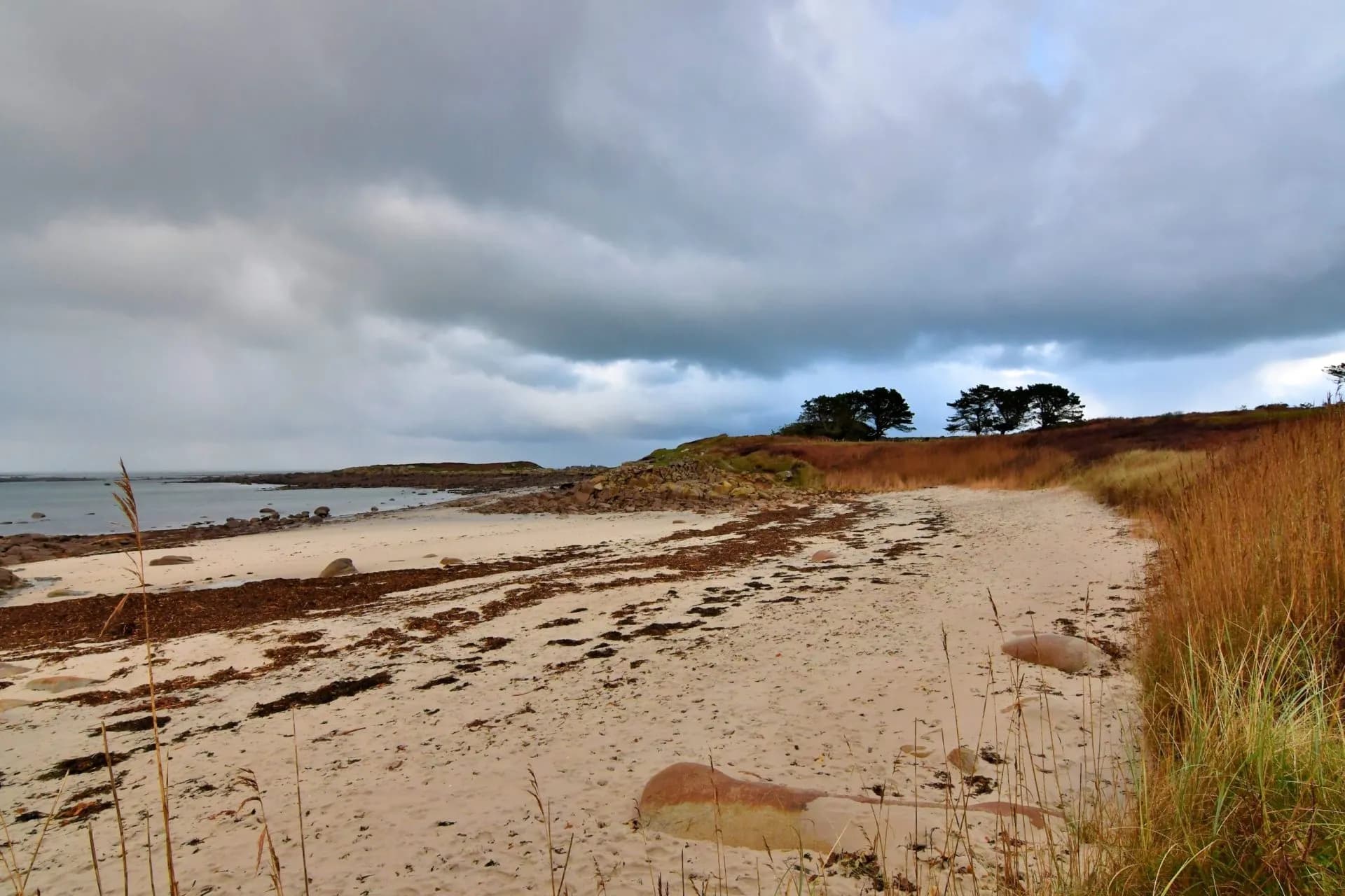 Sandy beach near Landrellec with dark seaweed and tall dry grasses under cloudy sky.