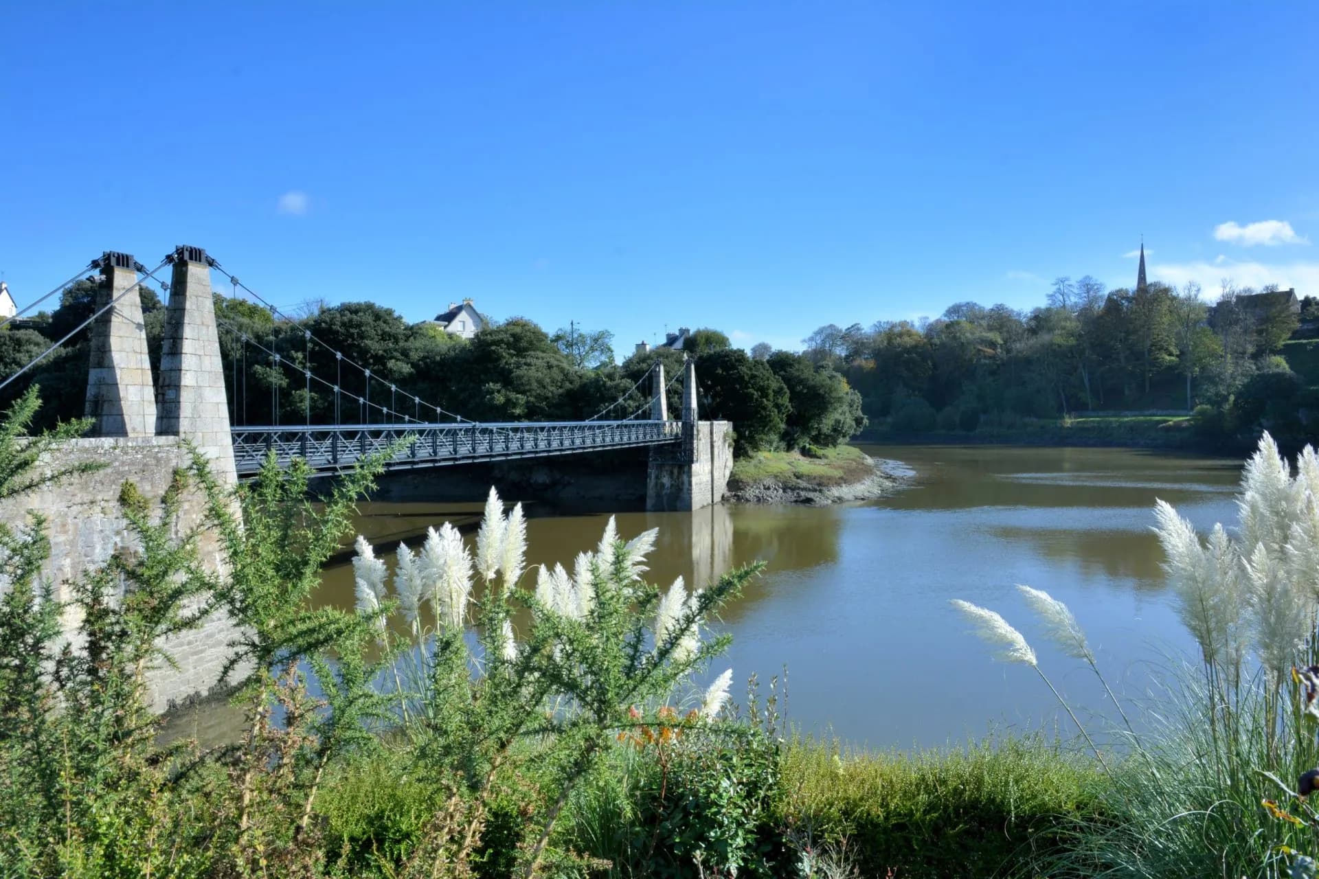 Suspension bridge over river near trees, with pampas grass in the foreground, Tréguier.