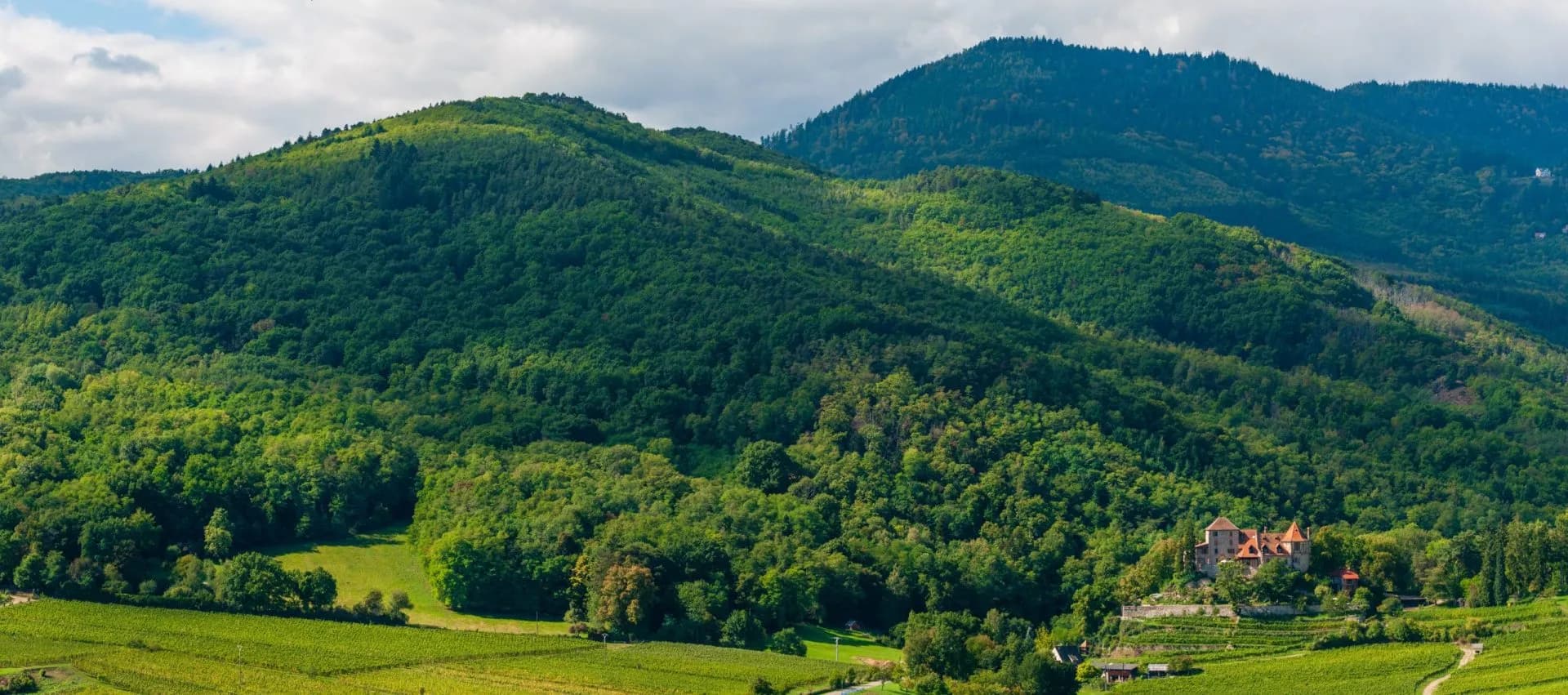 Landscape around Thannenkirch with castle, vineyards, and lush green forested hills.