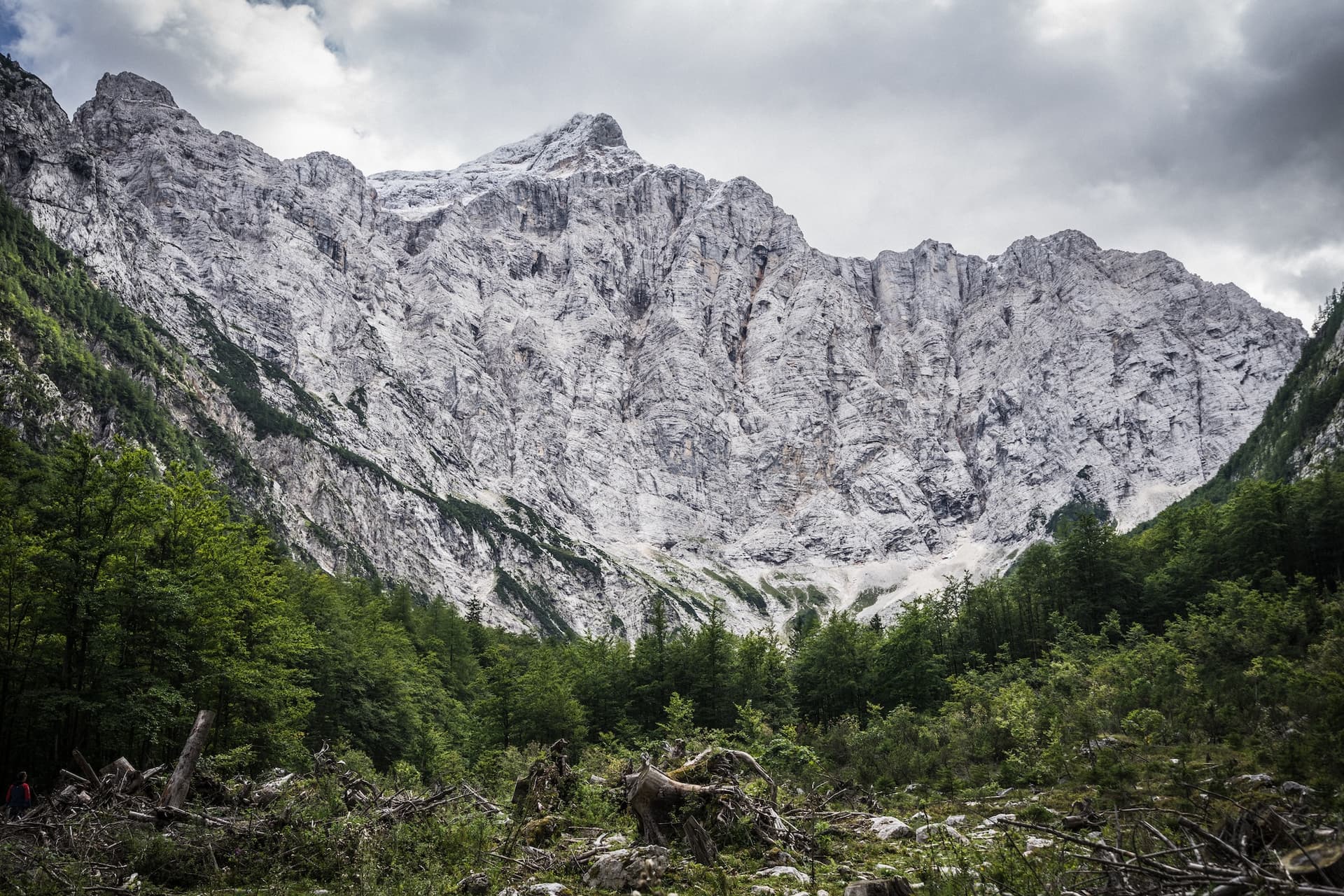 Massive gray rock face of Triglav's north face above green forest and debris under cloudy sky.