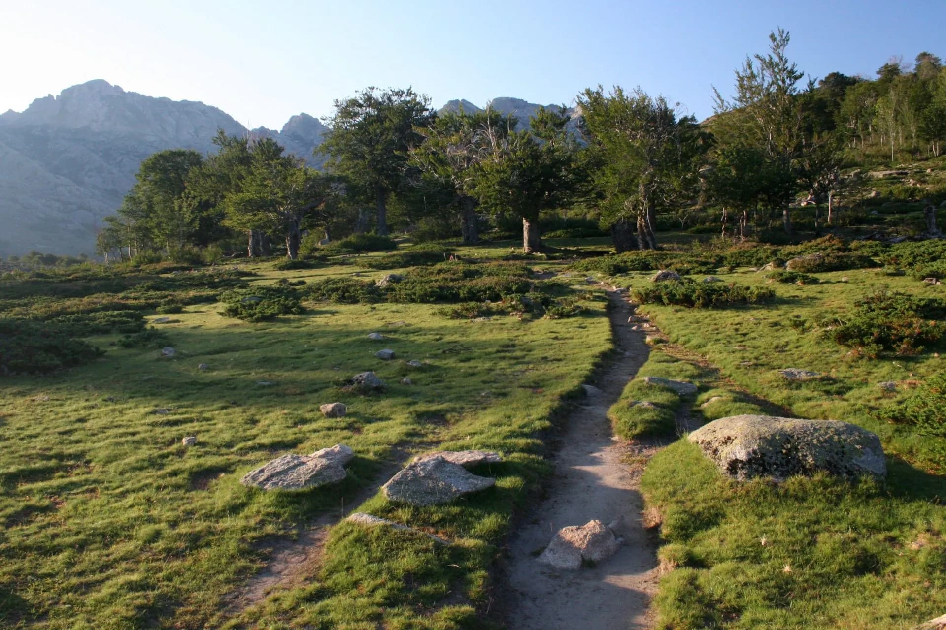 Footpath winding through grassy meadow toward trees with rocky mountains in Corsica