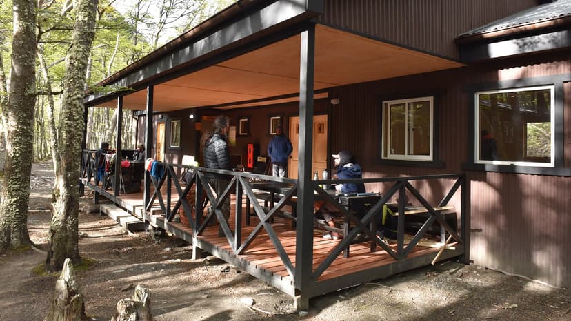 Hikers resting on wooden porch of brown cabin surrounded by mossy trees in forest.