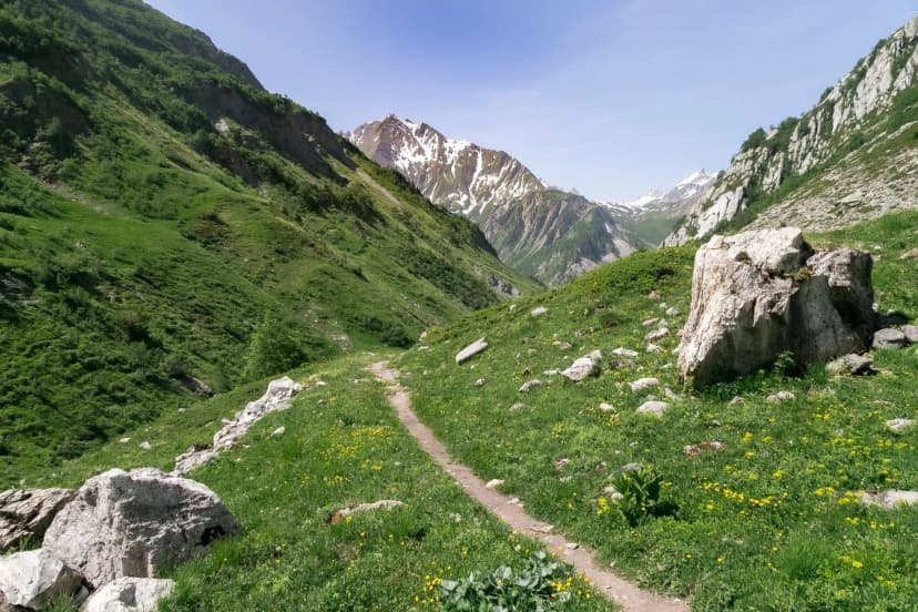 Narrow hiking path through green valley with wildflowers toward snow-capped mountains.