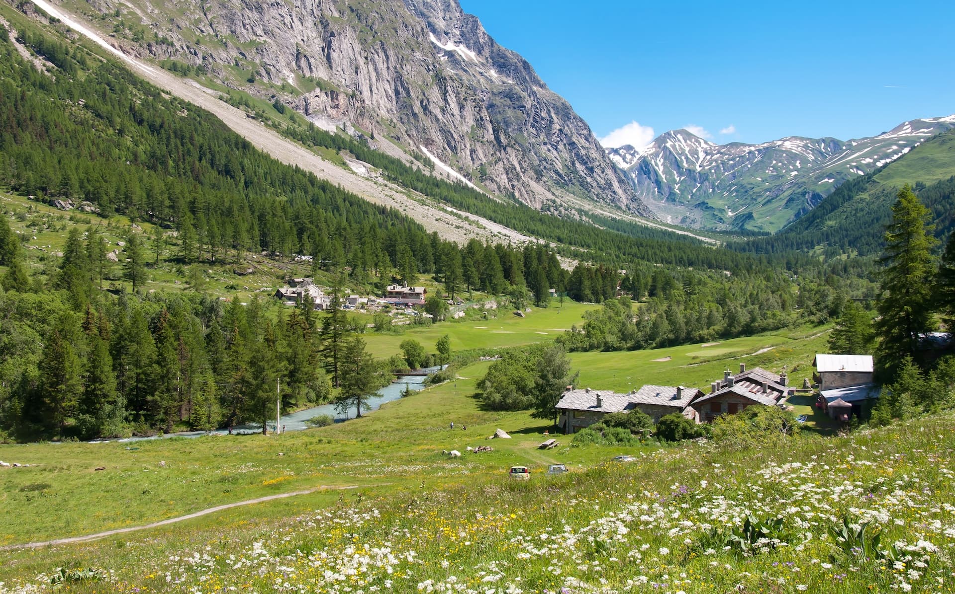 Meadows near Courmayeur with wildflowers, stone buildings, and snow-capped alpine mountains.