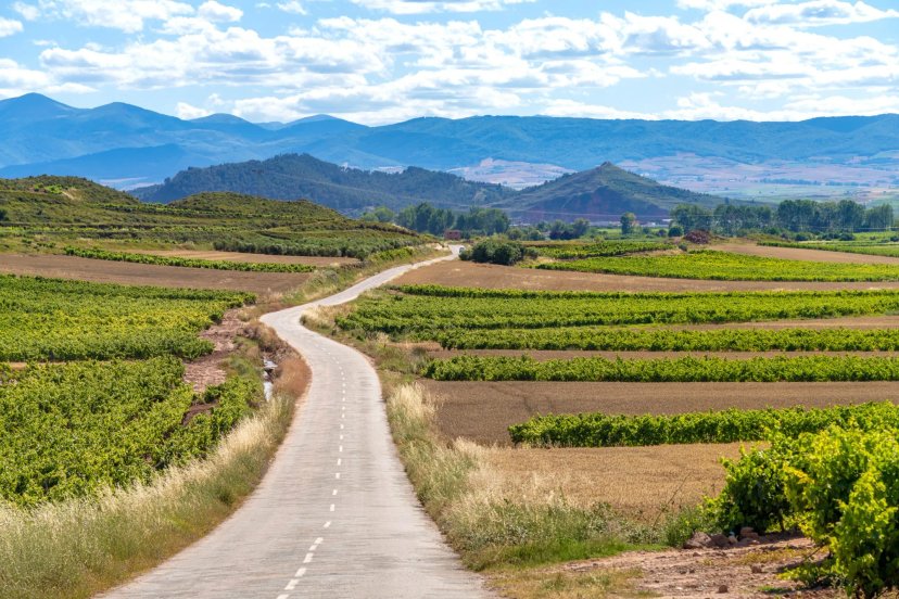 La Última Ruta del Vino de Rioja