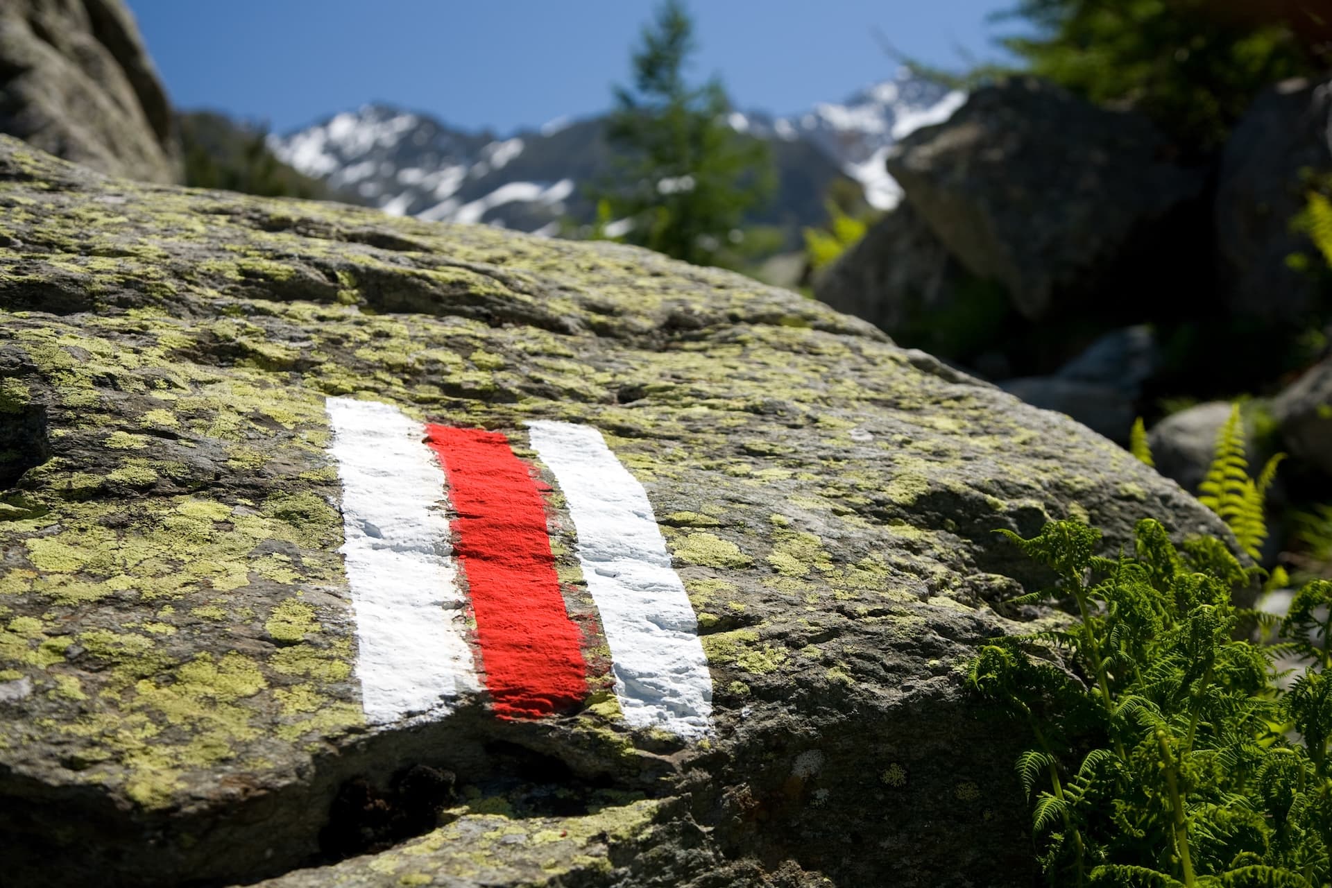 Hiking trail marker painted on mossy rock with snow-capped mountains in background, Switzerland.