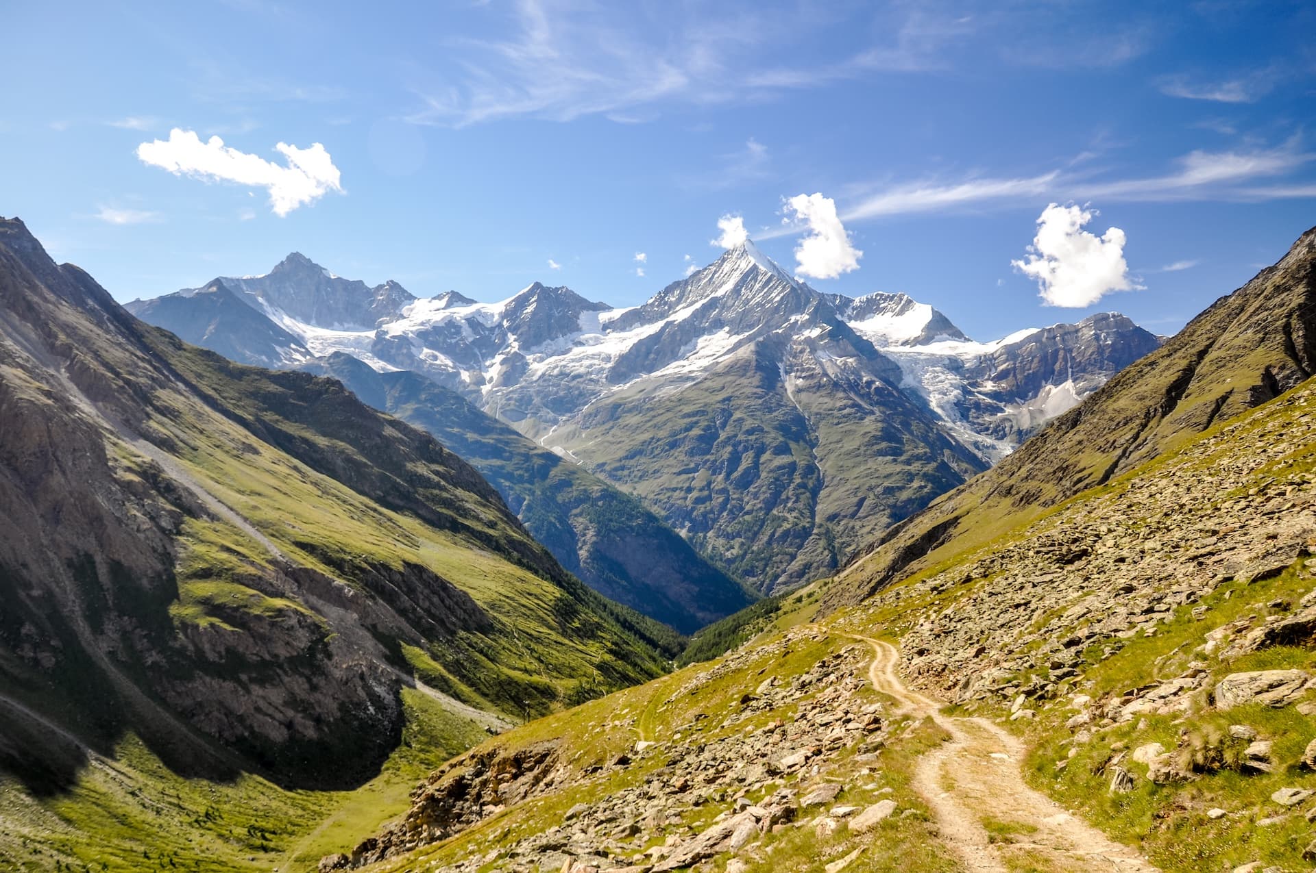 Hiking trail winding through grassy slopes toward snow-capped alpine peaks under blue sky