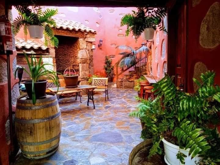 Courtyard patio with stone floor, potted ferns, wooden barrel table, and pink stucco walls at Rural Suite Santiago de Tunte.