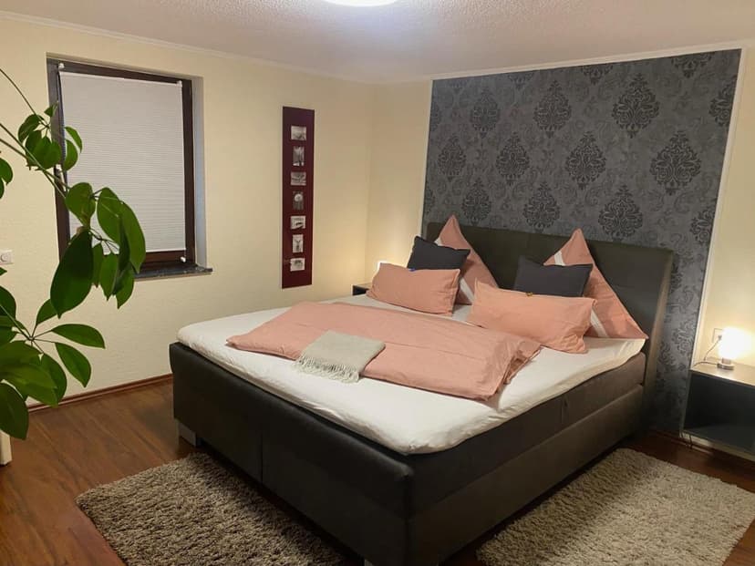 Bedroom with large bed, pink and gray bedding, and dark patterned accent wall.