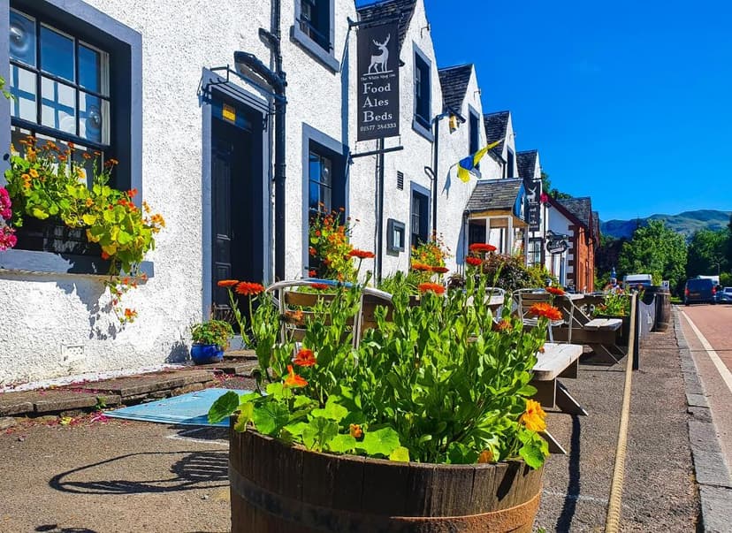 White Stag Inn with white stucco walls, outdoor seating, and bright orange flowers under a blue sky.
