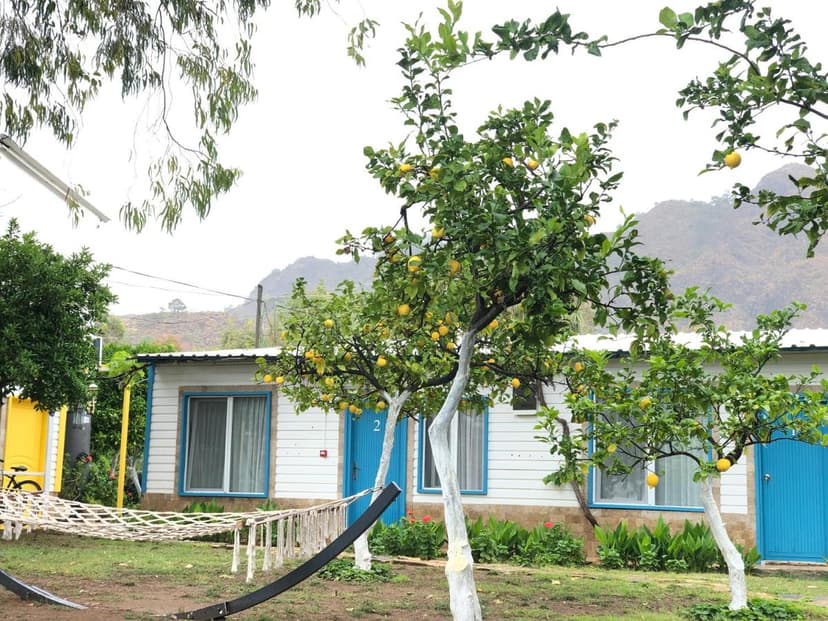 White cabin with blue trim, lemon trees, and hammock outdoors near mountains