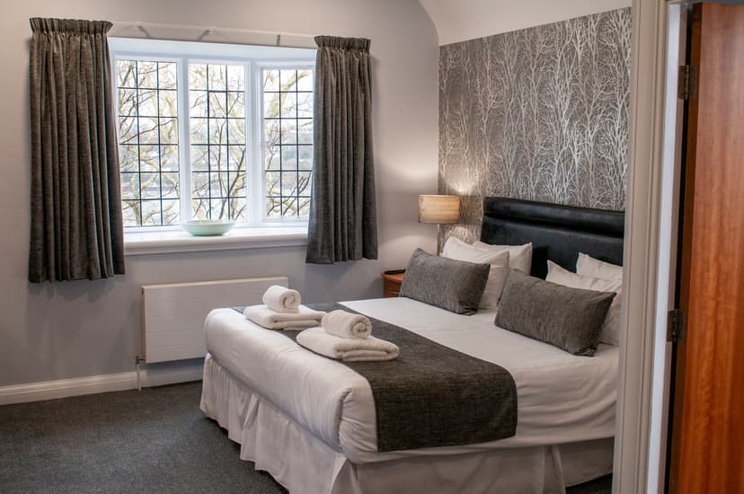 Hotel bedroom with patterned wallpaper, bay window view of bare trees, and neatly folded towels.