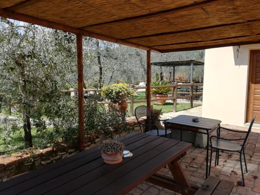 Outdoor dining area with wooden table and metal chairs under a thatched pergola, surrounded by olive trees.
