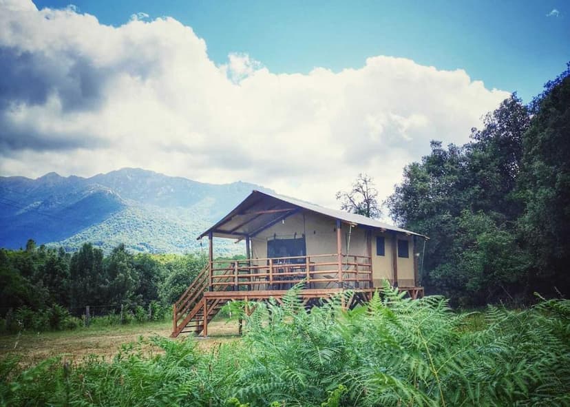 Elevated canvas tent cabin with wooden deck set against forested mountains under a cloudy sky.