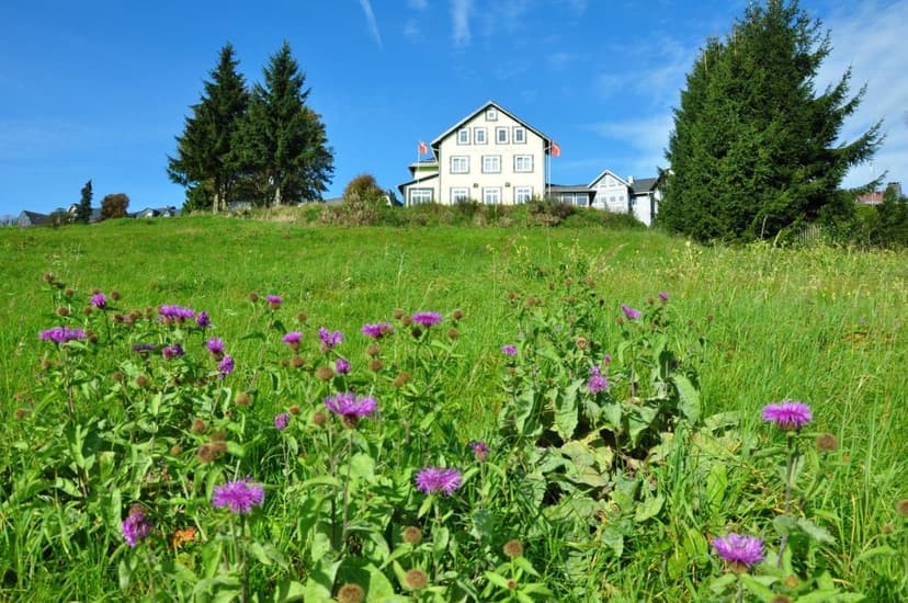Hotel Schöne Aussicht on green hill with purple wildflowers under blue sky