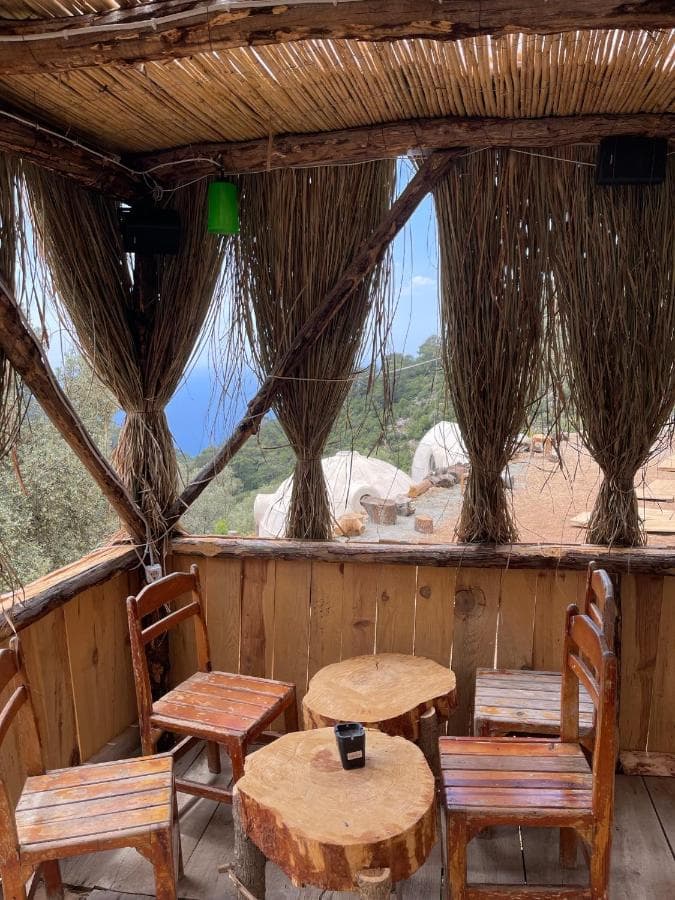 Rustic wooden seating area with tree stump tables overlooking a green hillside and blue sea.