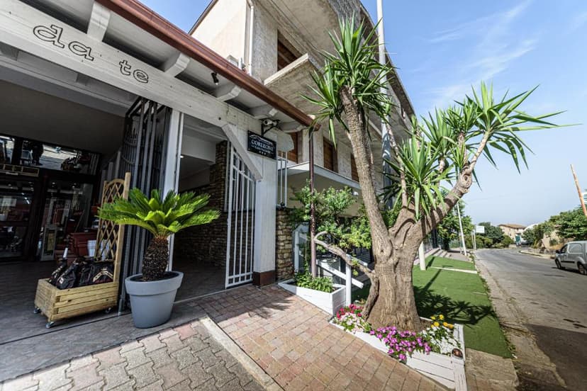 Entrance to Corleone Guesthouse with potted palms and flowering plants beside a street.
