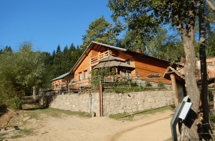 Wooden guesthouse on stone foundation near dense forest under clear blue sky