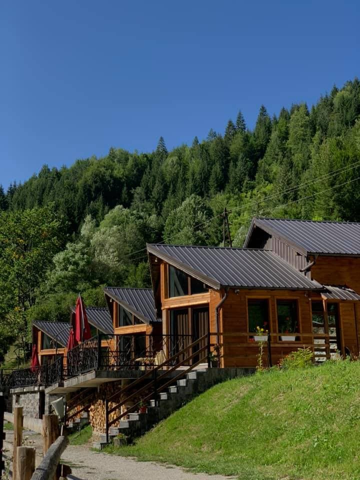 Wooden cabins with metal roofs on a grassy slope below a dense green forest under blue sky.