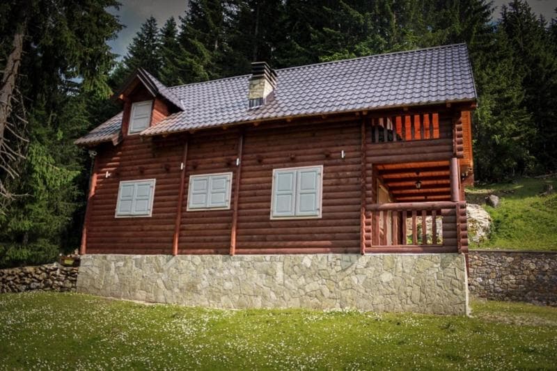 Wooden log cabin with stone foundation surrounded by pine forest and grassy meadow