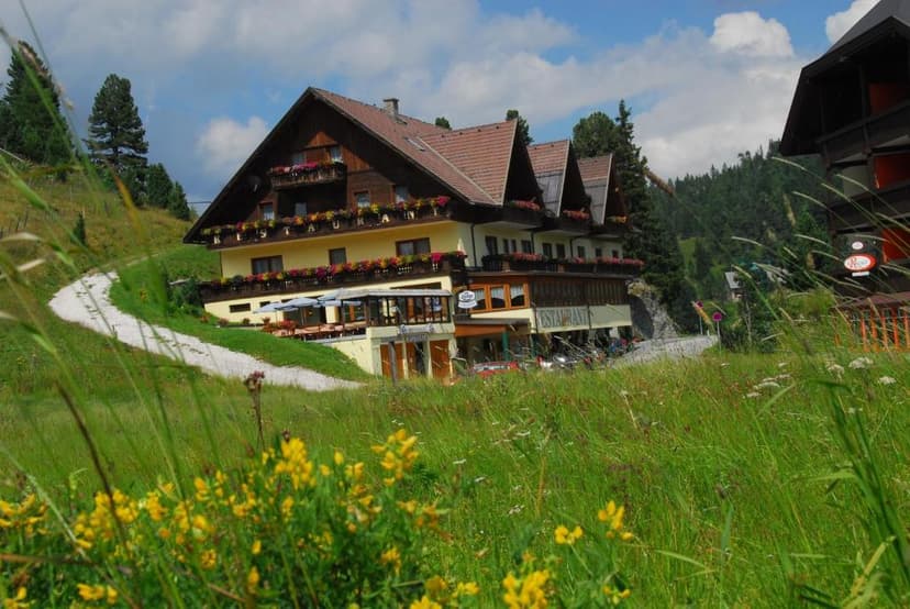 Alpine hotel Turracherhof with yellow flowers and tall grass in the foreground.